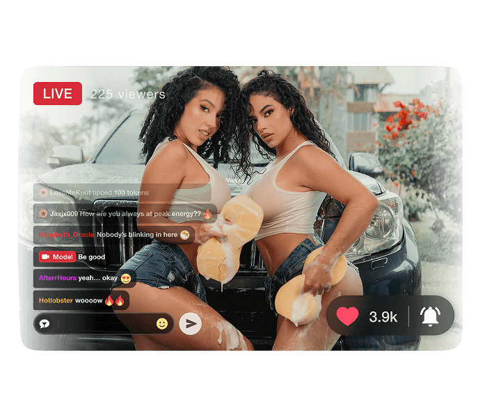 Đắm chìm trong những danh mục video Stripchat nóng bỏng nhất